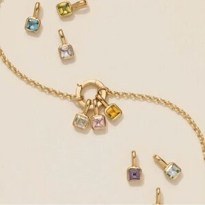 Stainless Steel (18k plated) Gold tone Charm Necklace. 
Birthstone necklace.